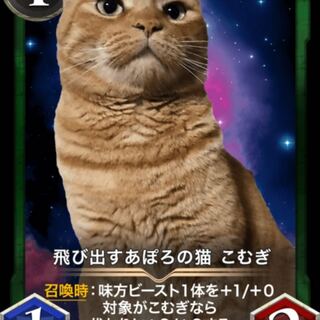 飛び出すあぼろの猫　こむぎ　2枚セット