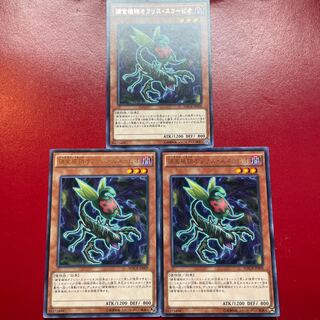 捕食植物オフリス・スコーピオ レア JP009