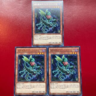 捕食植物オフリス・スコーピオ レア JP009