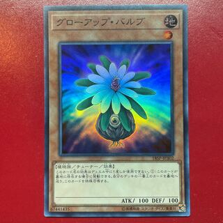 Glow-Up Bulb Super Rare JP302