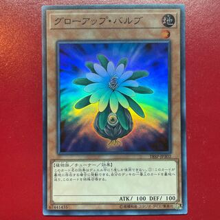 韓国 遊戯王 グローアップ・バルブ EV10 シークレット 韓国 遊戯王 グローアップ・バルブ EV10 シークレット - メルカリ