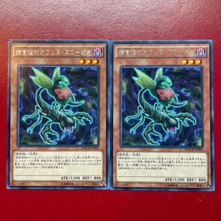 捕食植物オフリス・スコーピオ レア JP009