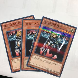 異次元の女戦士