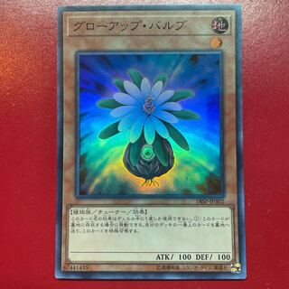 Glow-Up Bulb Super Rare JP302