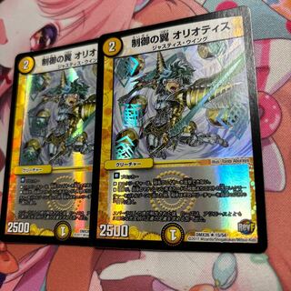 Wings of Control Oriotis R-foil 15/54