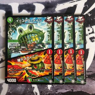 イッコダス・ケイジ｜種デスティニー