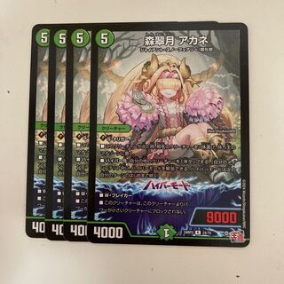 森翠月 アカネ R 24/75