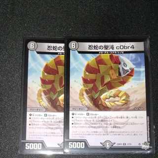 忍蛇の聖沌 c0br4 R 17/74