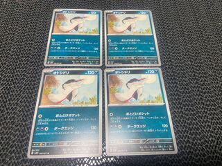 Pied Flycatcher U 056/071 P-280