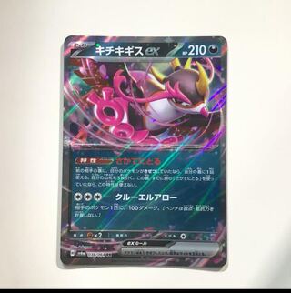 Kicchi Kigis ex RR 038/064