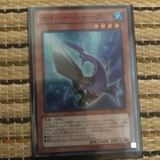 マドレース セイバー・シャーク