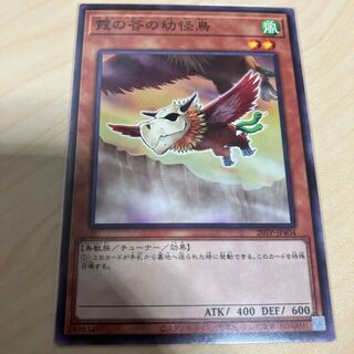 Mist Valley Baby Roc 20TP-JP404