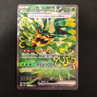 Augapon Midori-no-men ex SAR 125/101