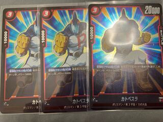 カトペスラ R FB02-004