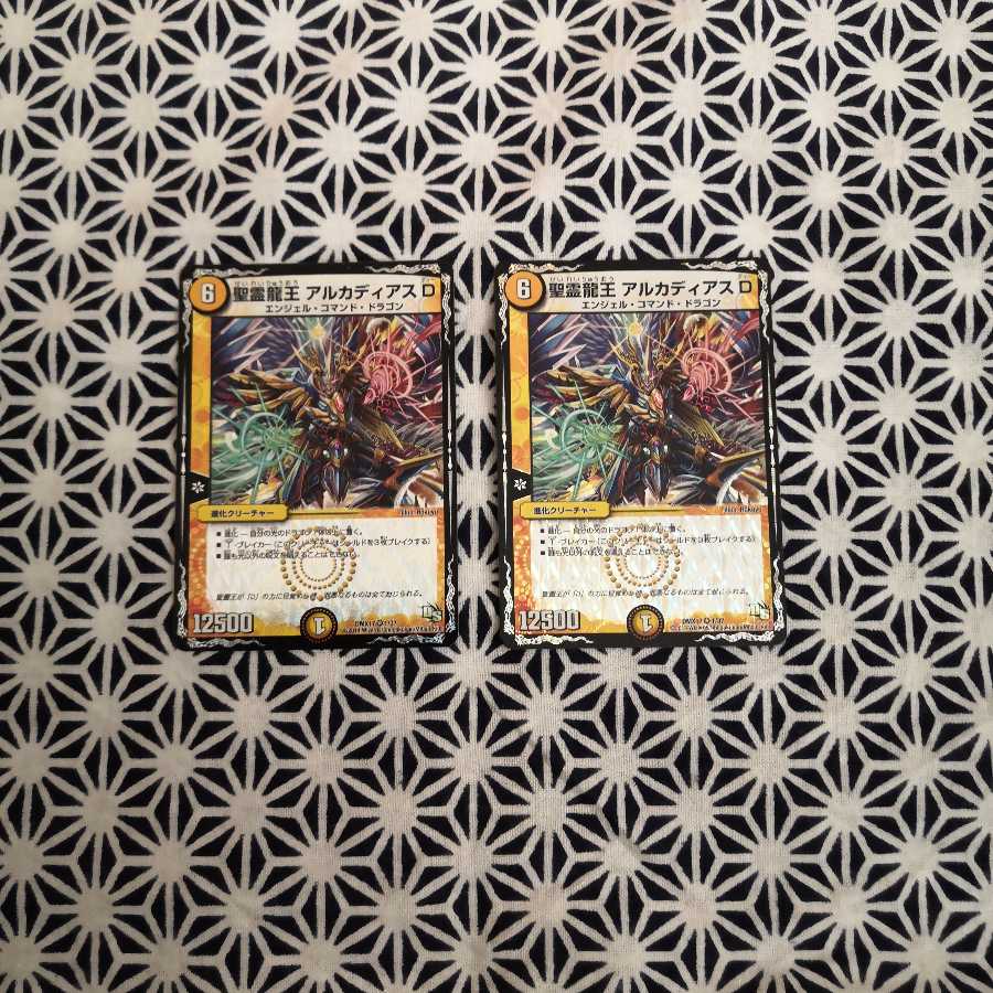 聖霊龍王 アルカディアスD2枚