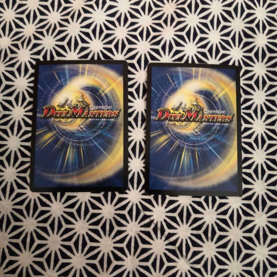 聖霊龍王 アルカディアスD2枚