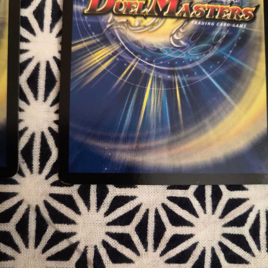 聖霊龍王 アルカディアスD2枚