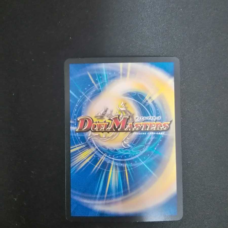 「絶対の楯騎士」