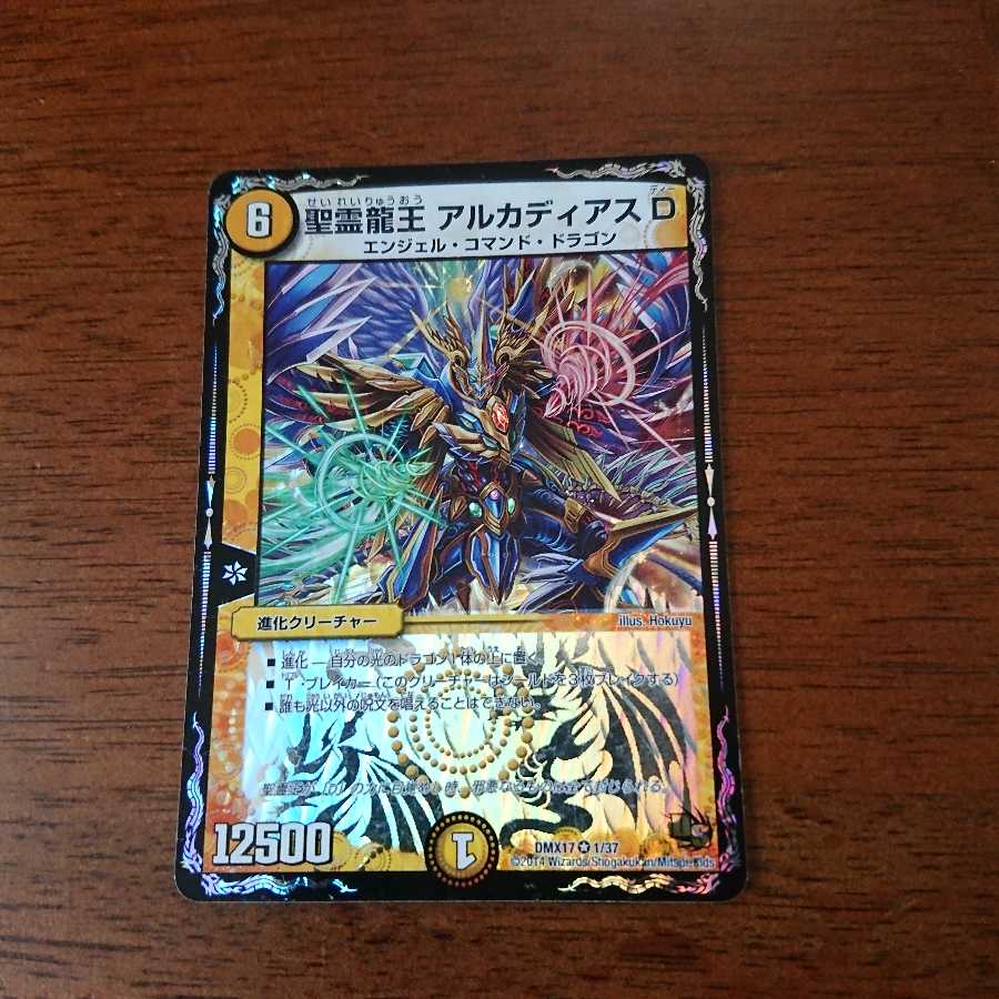 聖霊龍王 アルカディアスD