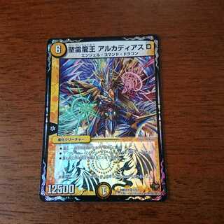 聖霊龍王 アルカディアスD