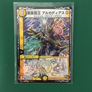 聖霊龍王 アルカディアスD