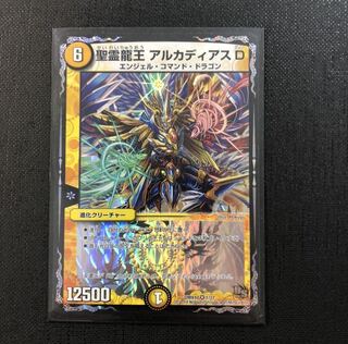 聖霊龍王アルカディアスD