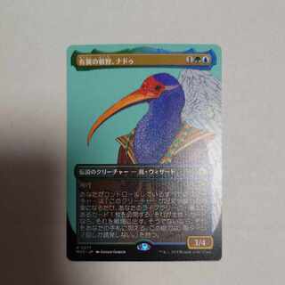 有翼の叡智、ナドゥ　ボーダレス