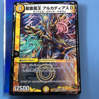 聖霊龍王 アルカディアスD