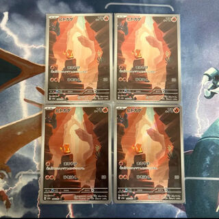 ヒトカゲ AR 168/165