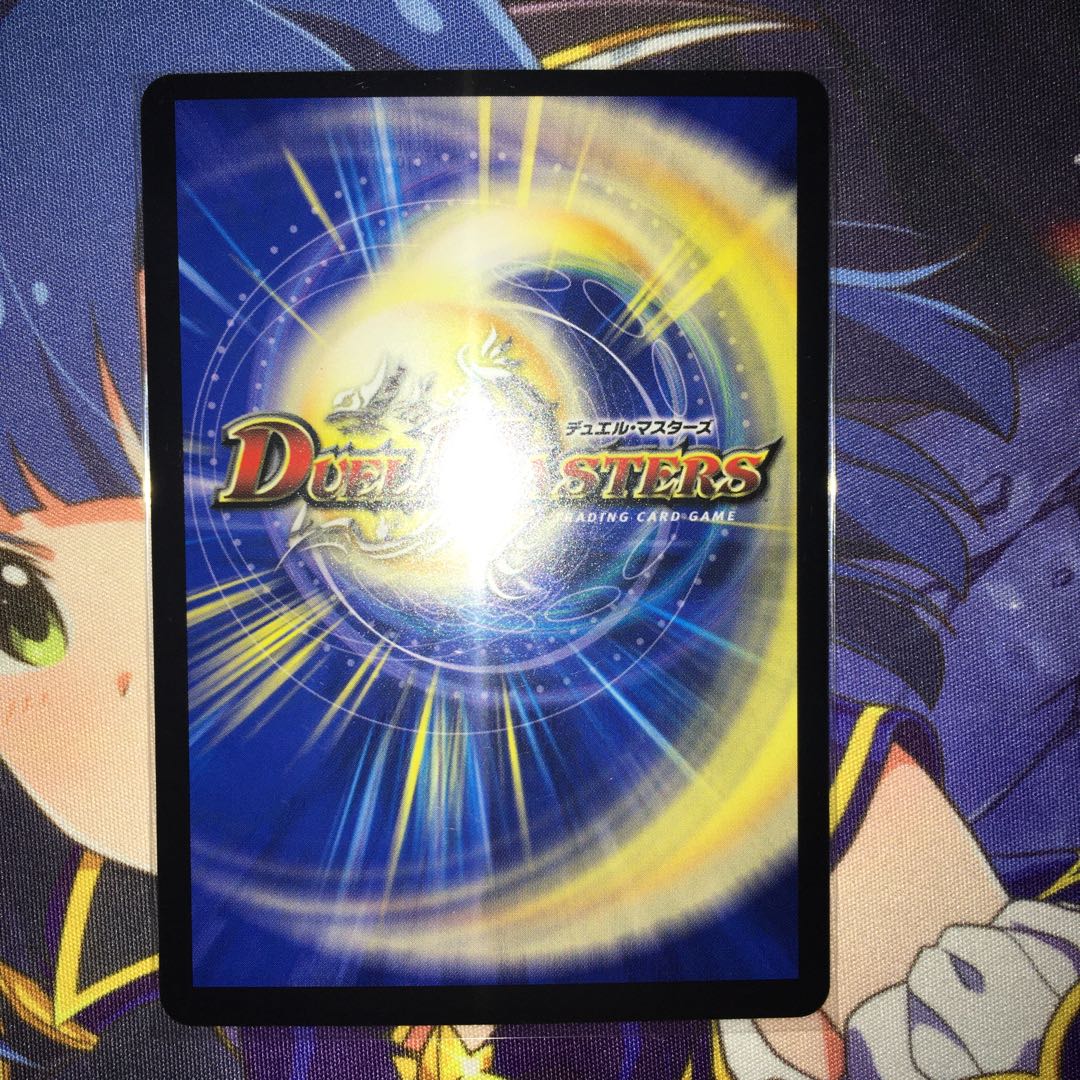 「絶対の楯騎士」