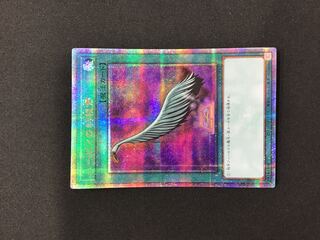 ハーピィの羽根箒 25th QCCP