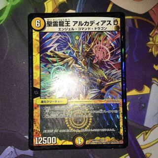 聖霊龍王 アルカディアスD