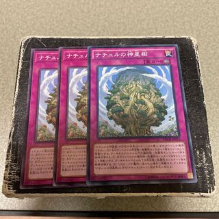 Naturia Sacred Tree Normal 3