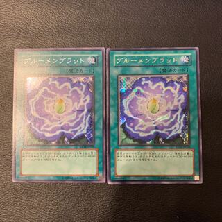 ブルーメンブラット SE