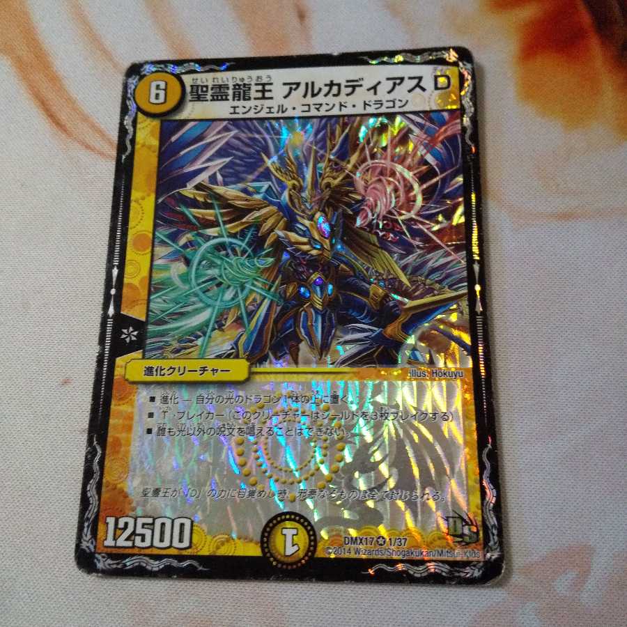 聖霊龍王 アルカディアスD