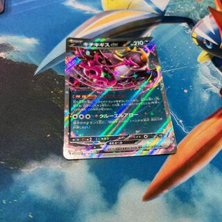 Kicchi Kigis ex RR 038/064