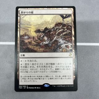 (284)《群がりの庭/Swarmyard》[TSR] 土地R