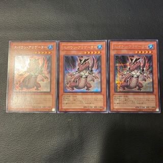 スパウン・アリゲーター SE