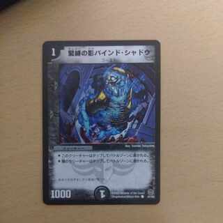 Shadow bound shadow of bondage C 47/55