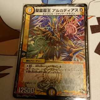 【専用】アルカディアスD