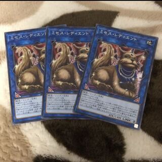 遊戯王　ミセスレディエントセット 1枚