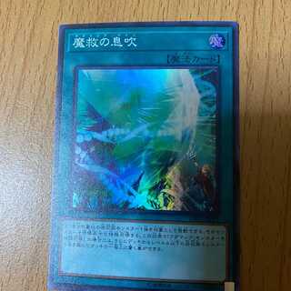 SR Adamancipator Signs Super