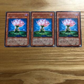 サクリファイス・ロータス N