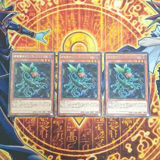 捕食植物オフリス・スコーピオ レア JP009