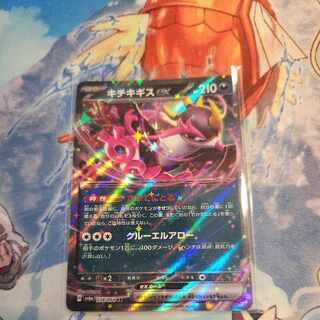 キチキギスex RR 038/064