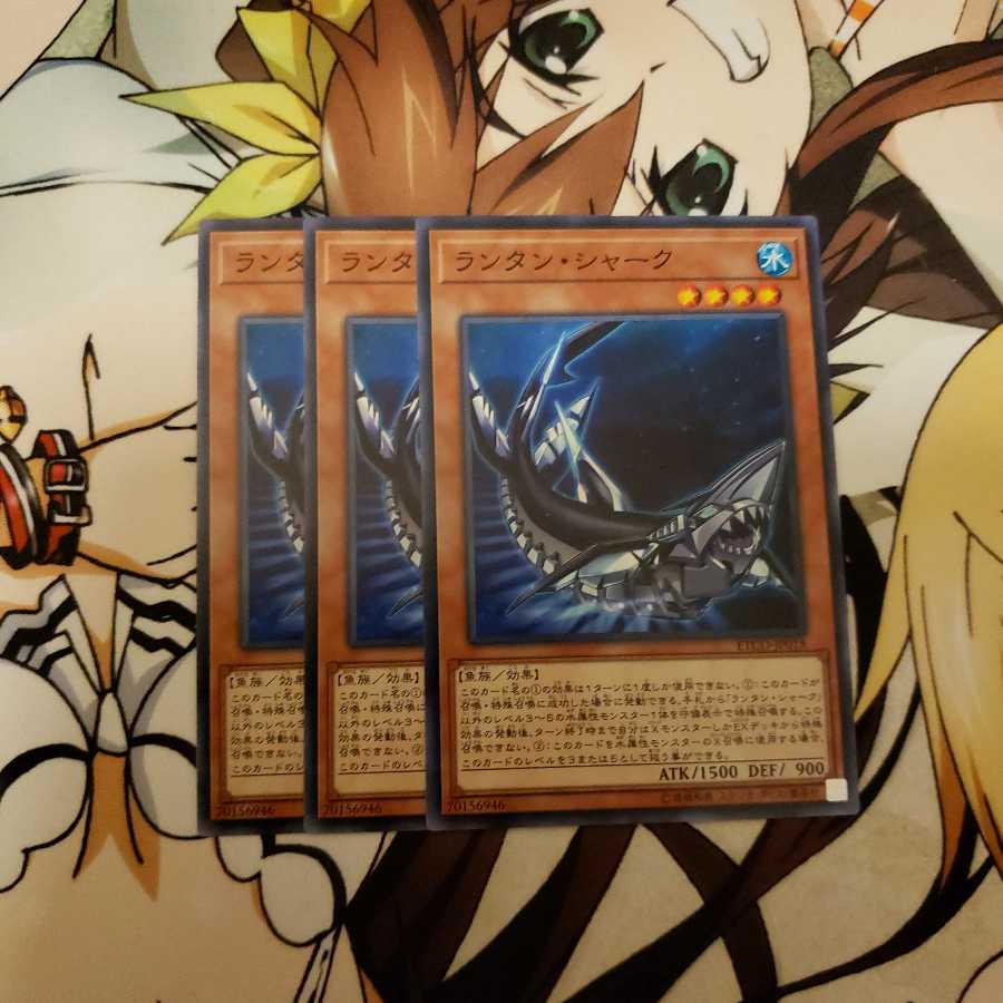 ランタン・シャーク