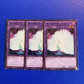 Allvain the Essence of Vanity Normal JP038