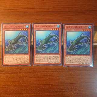 エクシーズ・リモーラ N 3枚セット