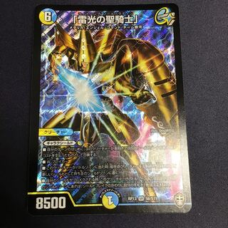 「雷光の聖騎士」