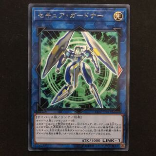 セキュア・ガードナー R 1枚